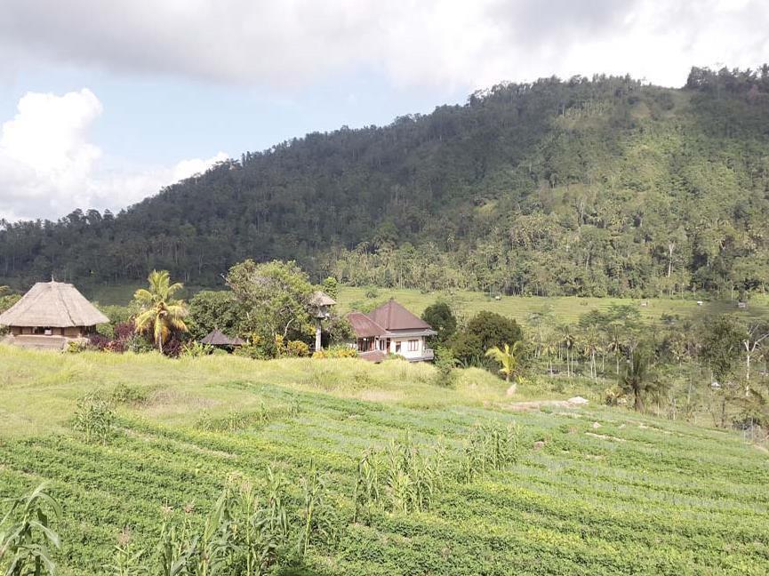 Embang Homestay Sidemen  Exteriér fotografie