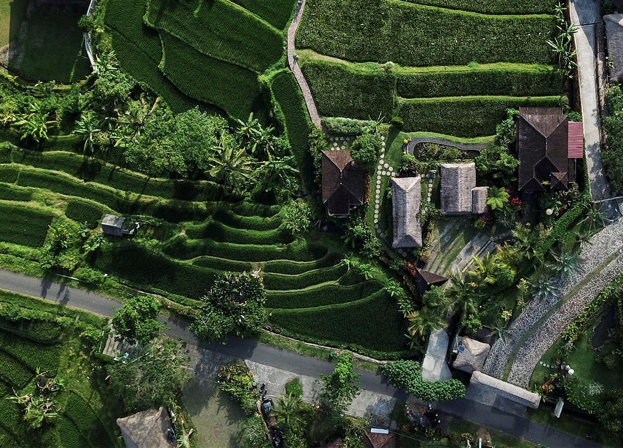 Embang Homestay Sidemen  Exteriér fotografie