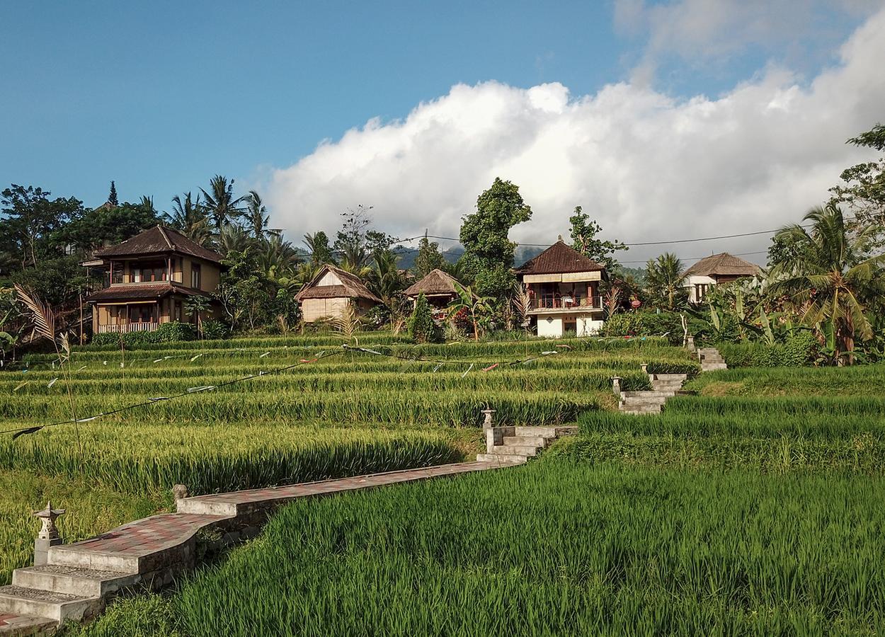 Embang Homestay Sidemen  Exteriér fotografie