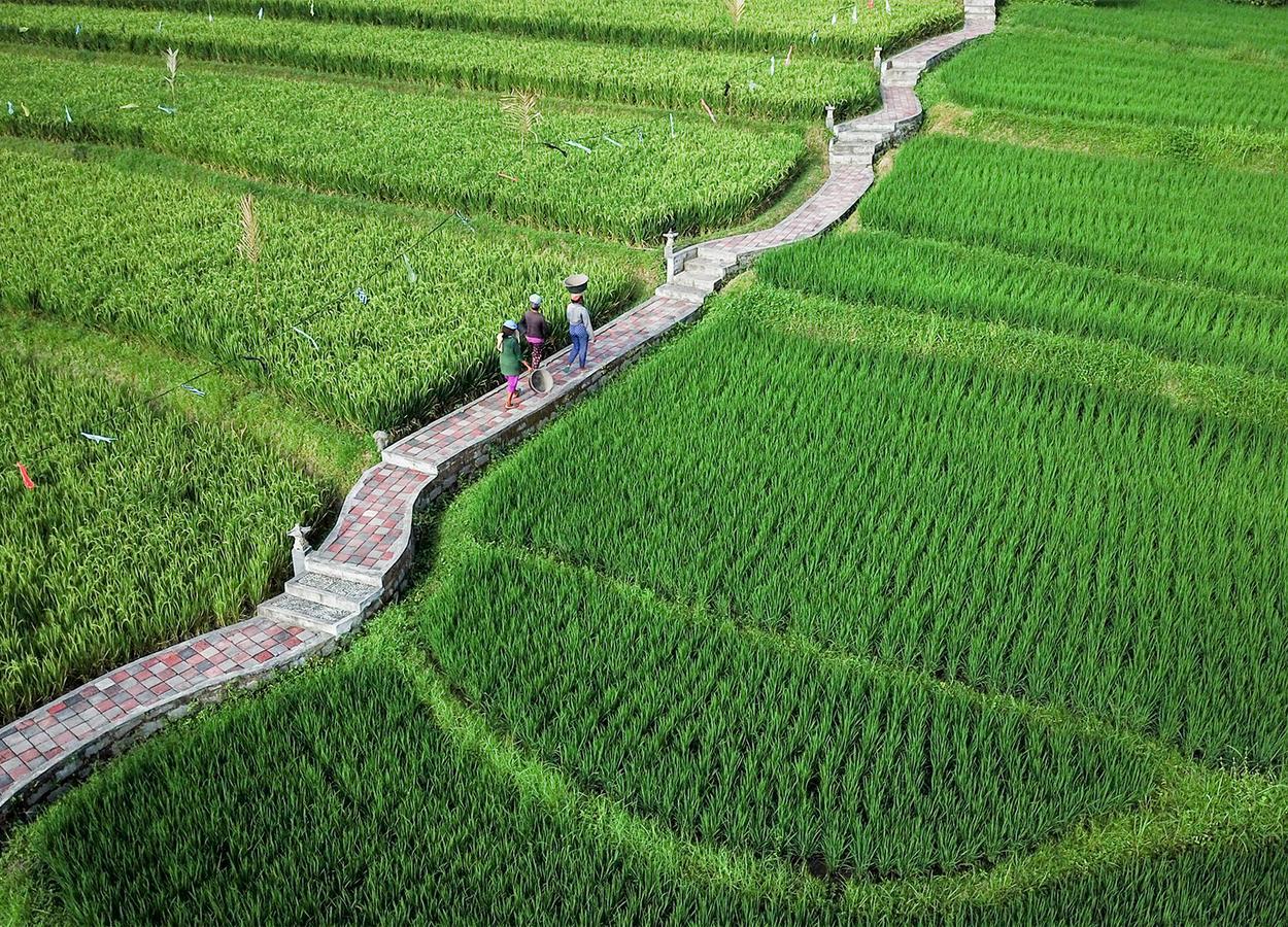 Embang Homestay Sidemen  Exteriér fotografie